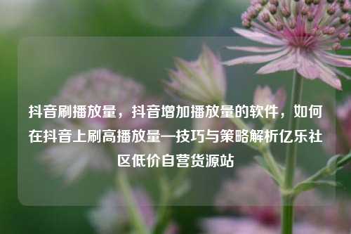 抖音刷播放量，抖音增加播放量的软件	，如何在抖音上刷高播放量—技巧与策略解析亿乐社区低价自营货源站  第1张