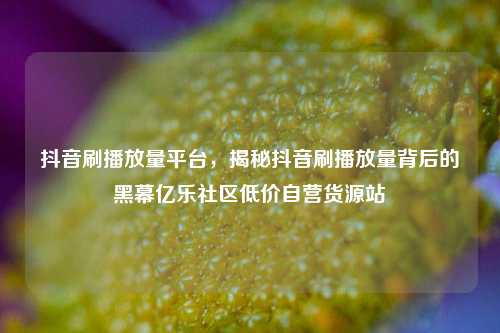 抖音刷播放量平台，揭秘抖音刷播放量背后的黑幕亿乐社区低价自营货源站  第1张